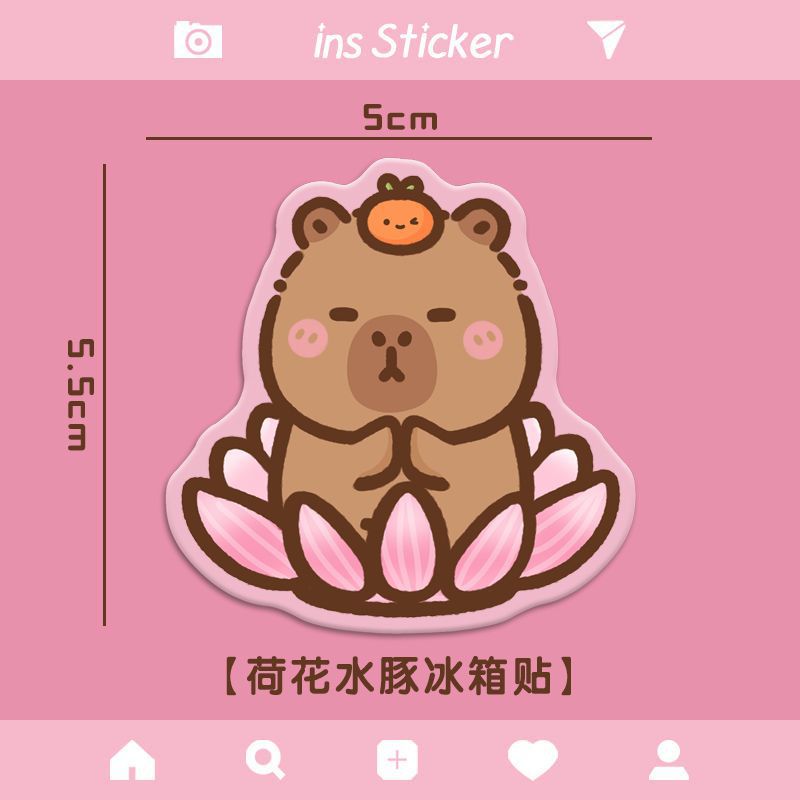 Kapibala acrylic fridge magnet